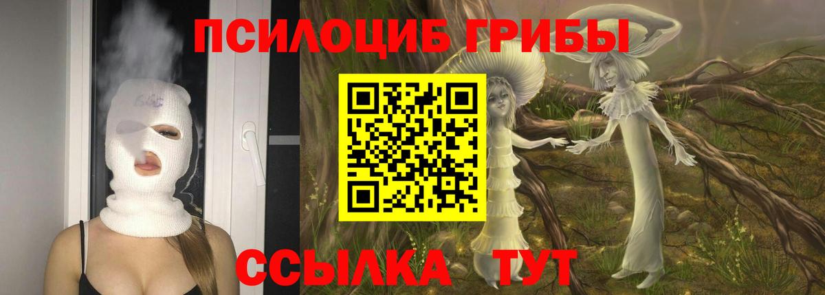 Псилоцибиновые грибы GOLDEN TEACHER Клин